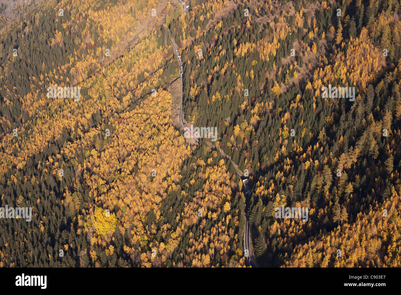 LUFTAUFNAHME. Zahnstangenbahn, die Chamonix mit Mer de Glace mit Lärchen in Herbstfarben verbindet. Haute-Savoie, Auvergne-Rhône-Alpes, Frankreich. Stockfoto