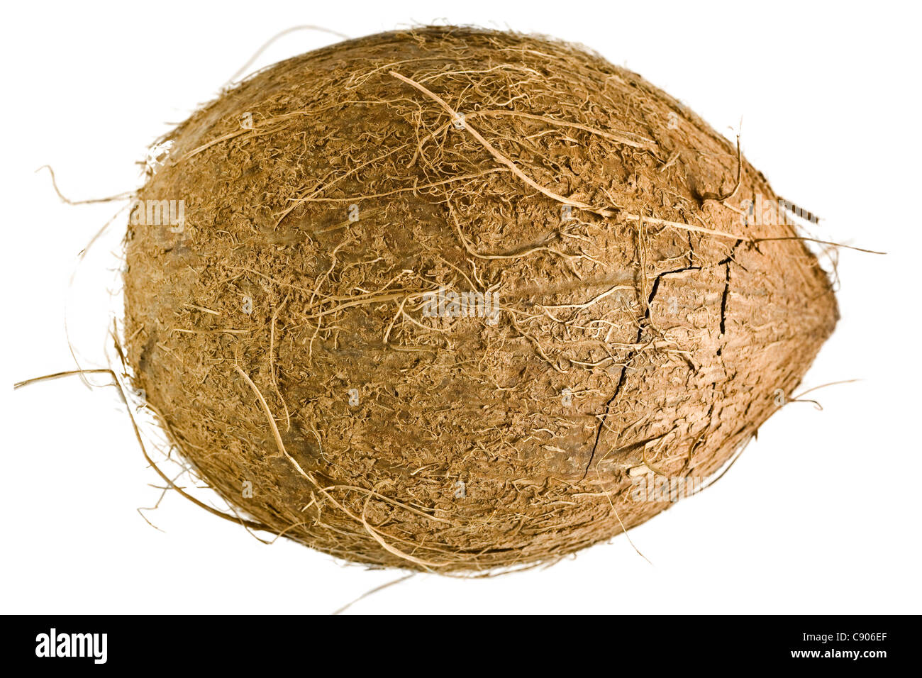 Kokosnuss ausgeschnitten auf weißem Hintergrund Stockfoto