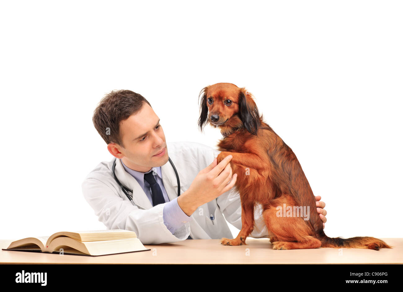 Ein Tierarzt, ein Hund mit Stethoskop nachschauen Stockfoto