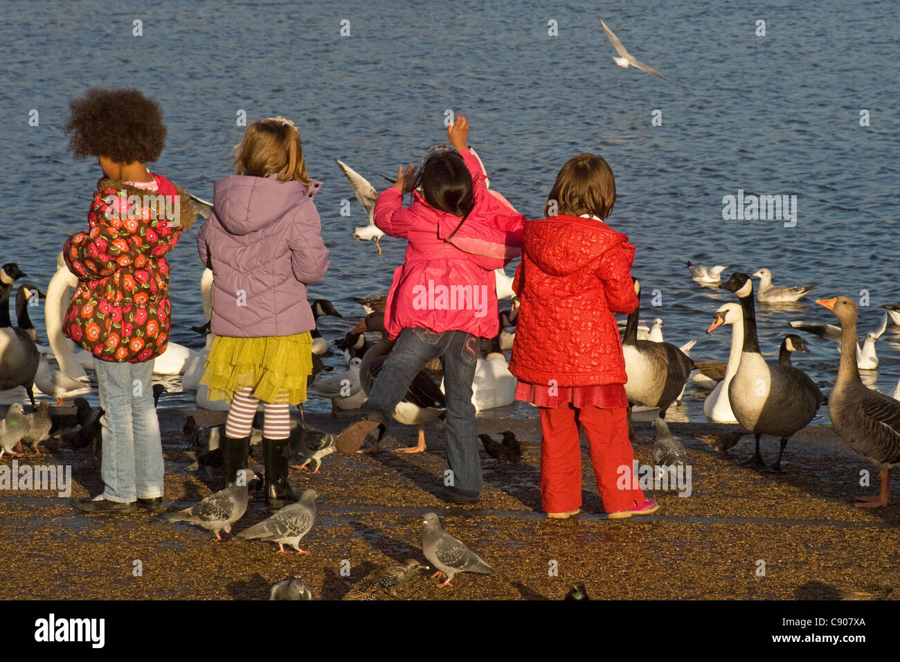 Kleiner Weißer Vogel Abenteuer Im Kensington Park Gemischte rassen schulkinder -Fotos und -Bildmaterial in hoher