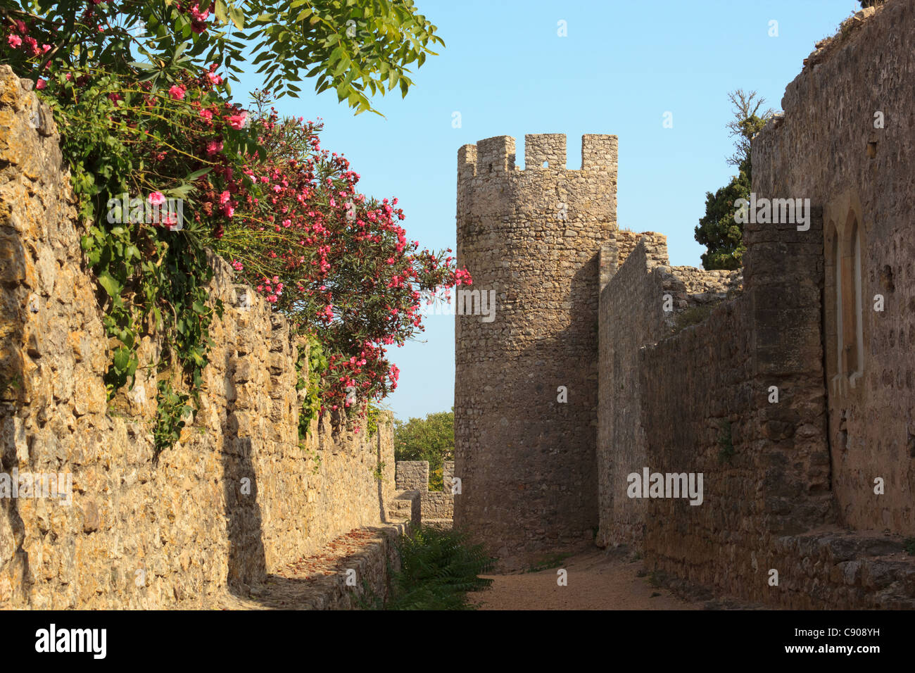 Portugiesische Burg (Santiago Do Cacém - Portugal) Stockfoto