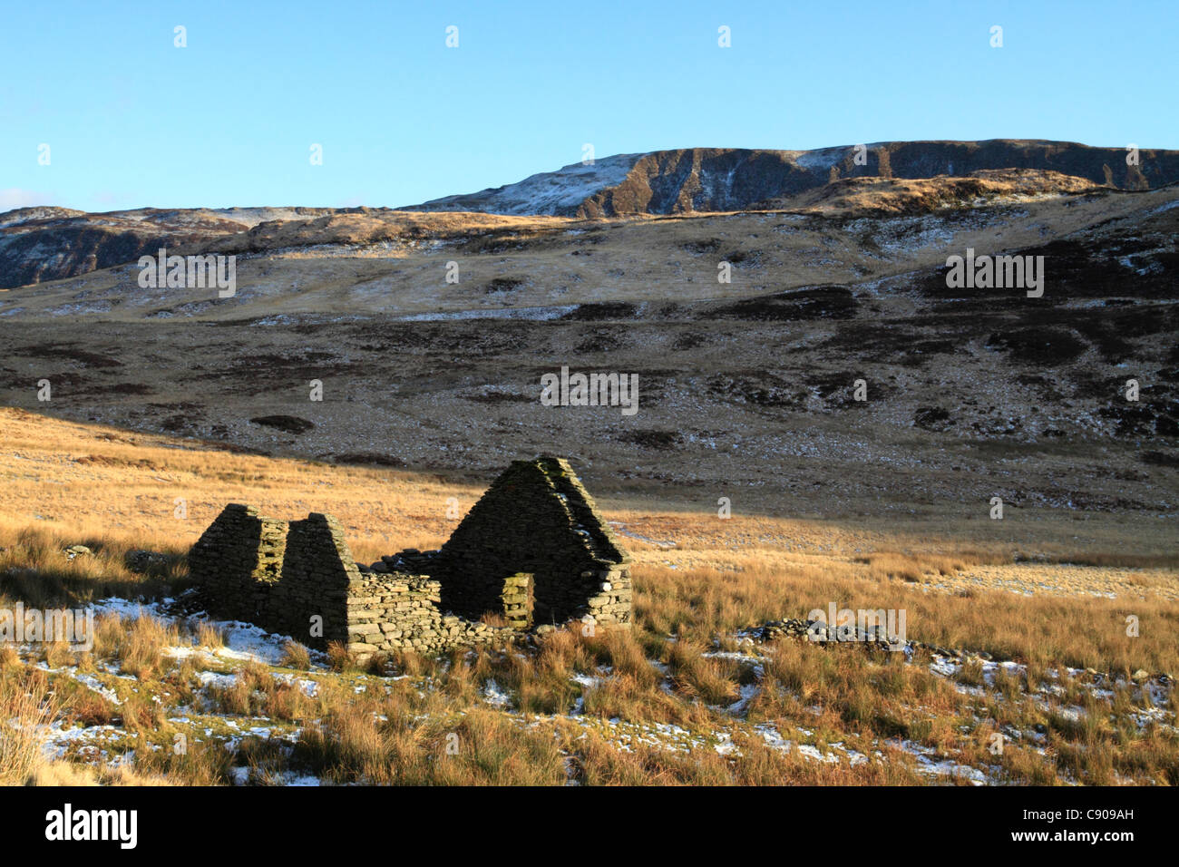 verfallenes Haus auf Cadair Idris Stockfoto