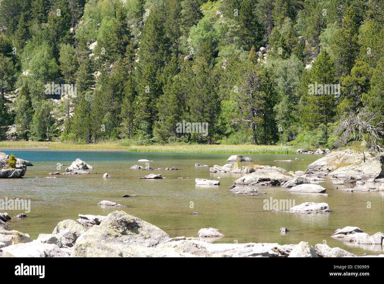 Pyrenäen-Sant Maurici See - Nationalpark Aigüestortes Katalonien Spanien Stockfoto