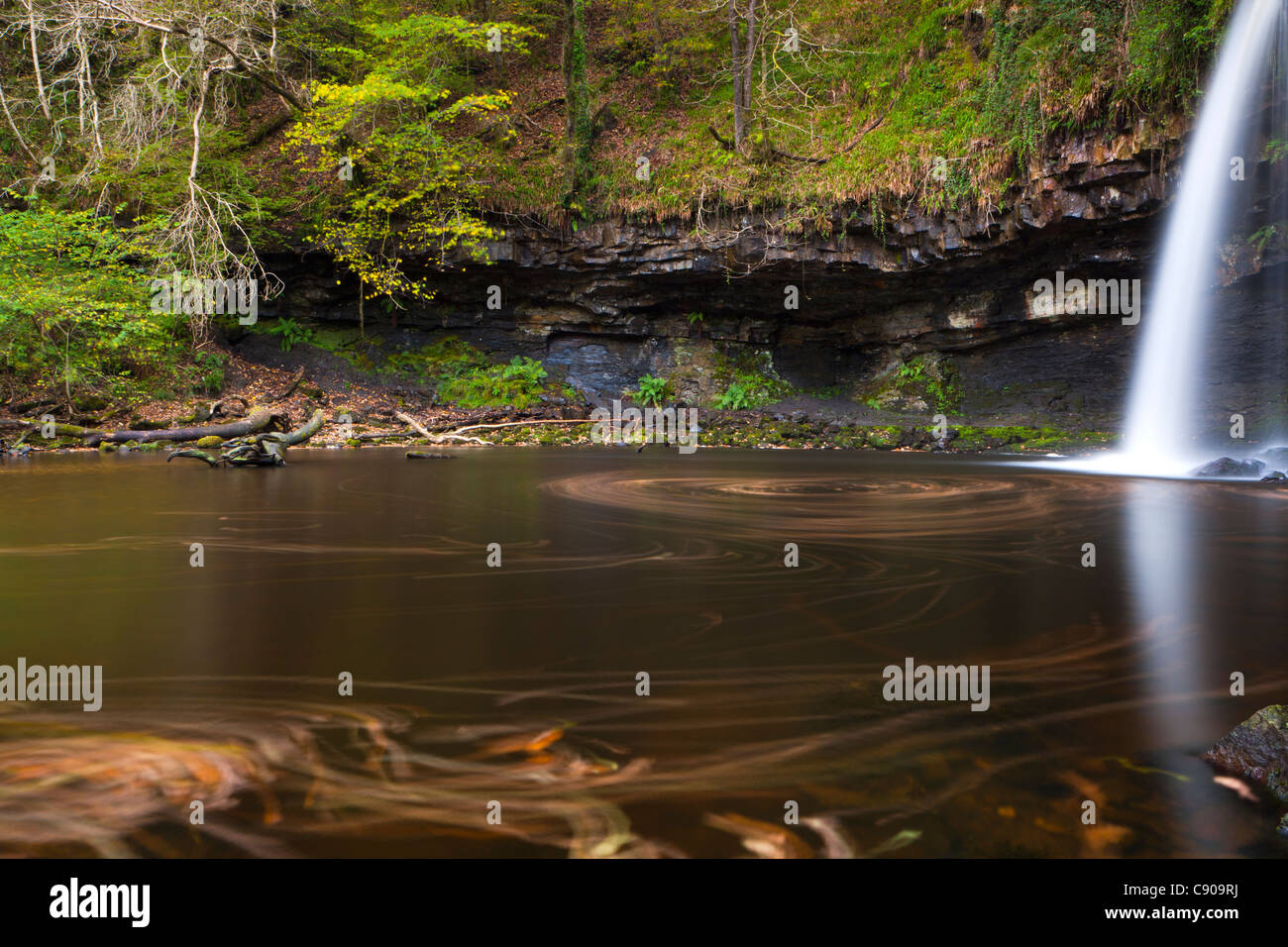 Sgwd Gwladys oder Dame fällt, Afon Pyrddin in der Nähe von Pontneddfechan, Brecon Beacons National Park, Powys, Wales, UK, Europa. Stockfoto