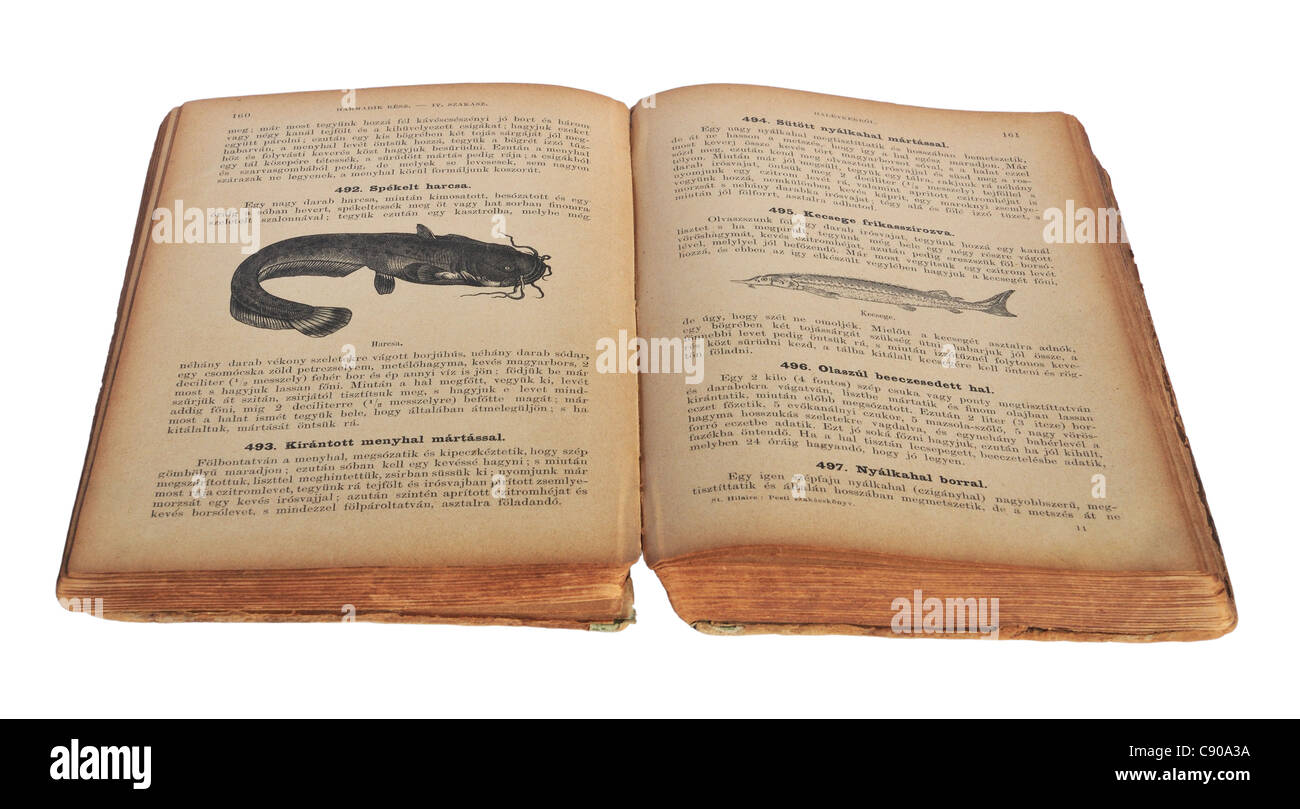 Sehr alte ungarische Kochbuch (veröffentlicht 1894), isoliert auf weiss. Geöffnet an Fischgerichten. Stockfoto