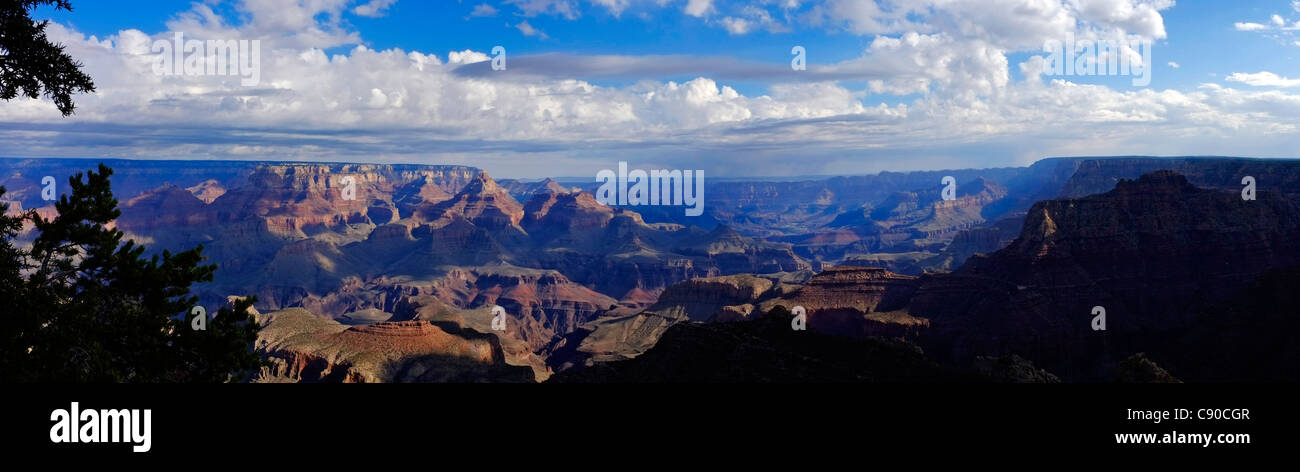 Panoramablick über den Grand Canyon South Rim. Stockfoto