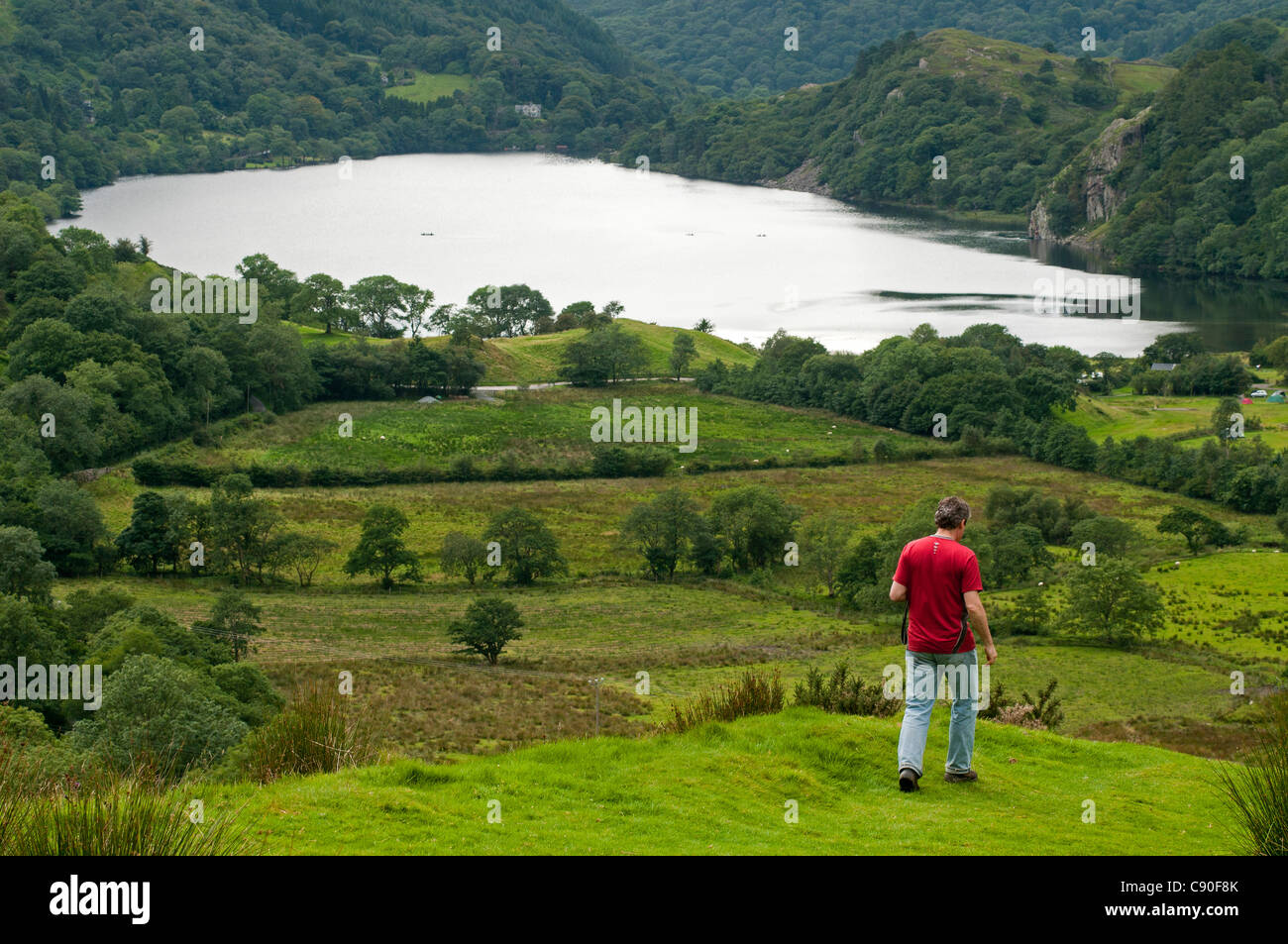 Blick zum See Llyn Gwynant, Snowdonia-Nationalpark, Wales, UK Stockfoto