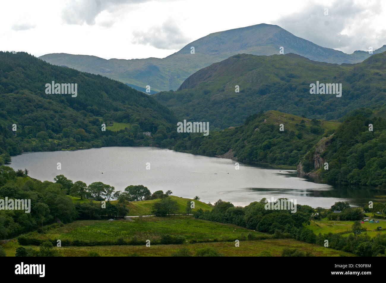Blick zum See Llyn Gwynant, Snowdonia-Nationalpark, Wales, UK Stockfoto