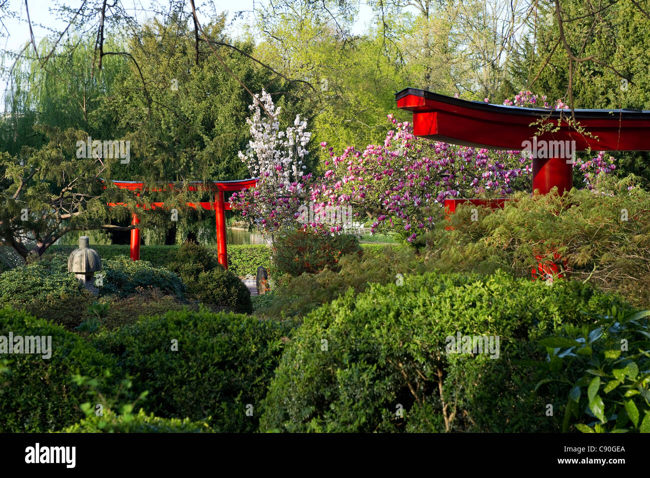 Japanischer Garten In Einem Stadtpark Karlsruhe Baden