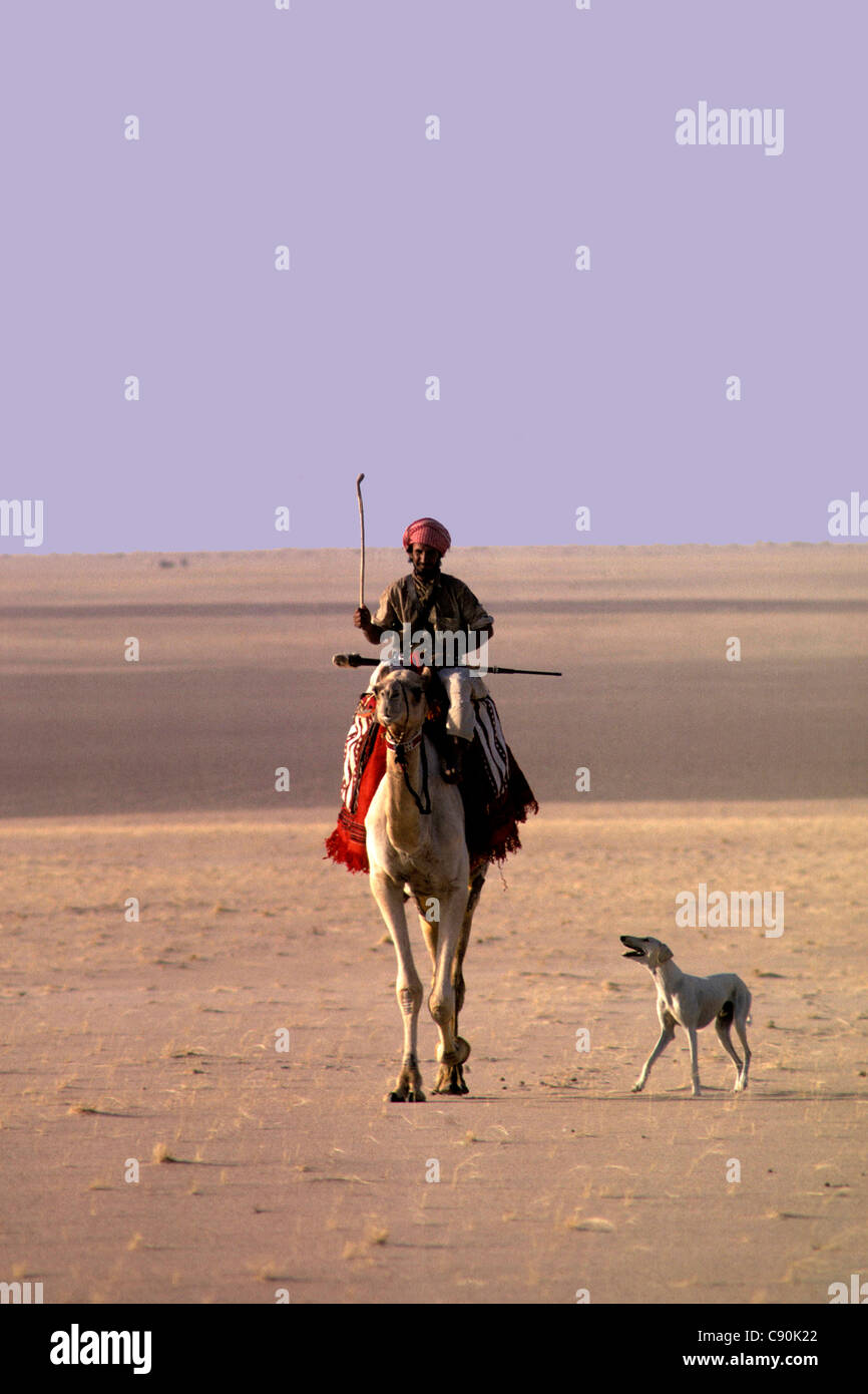Kamel und Hund Stockfotografie - Alamy