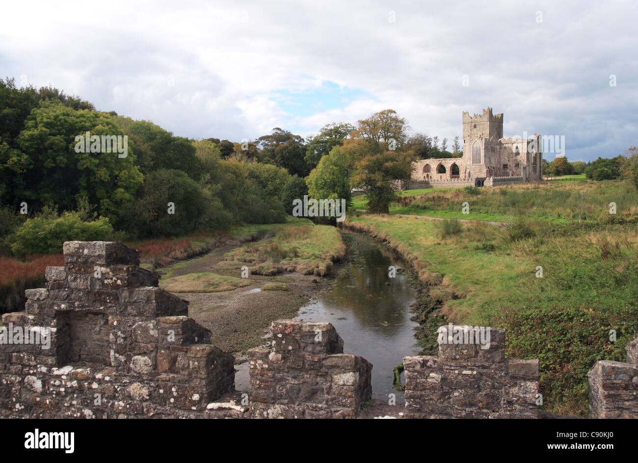 Tintern Abbey, County Wexford, Irland. Stockfoto