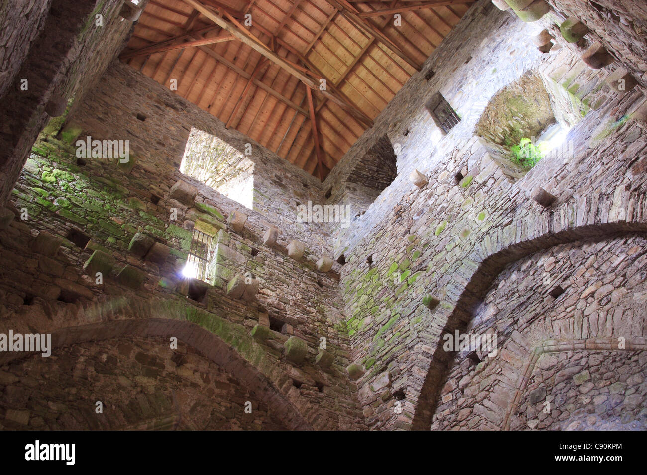 Gewölbte Dach, Tintern Abbey Tower, Wexford, Irland. Stockfoto