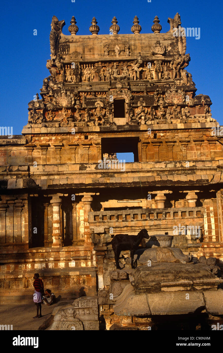 Airavateswara Tempel von Rajaraja Chola II im 12. Jahrhundert n. Chr. gebaut. Der Tempel ist in die große lebende Chola Stockfoto