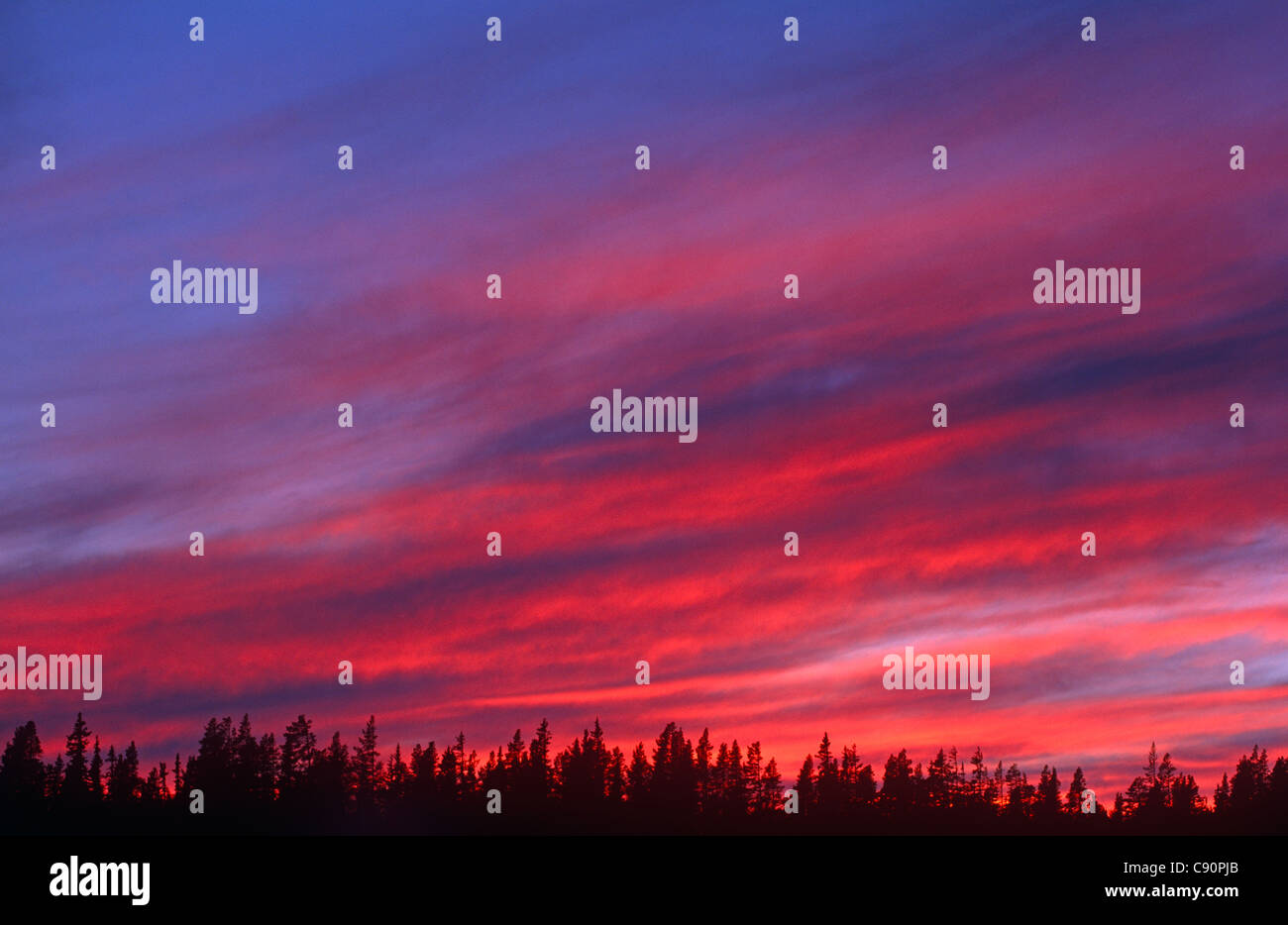 Es gibt dramatische Sonnenuntergänge über die Landschaft der Region Dalarna. Lovasen, Norwegen Stockfoto