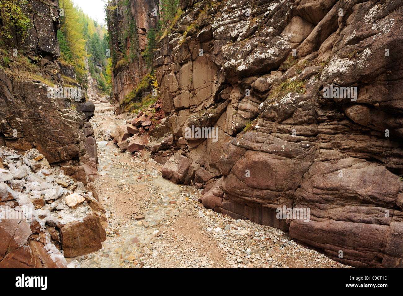 Canyon Bletterbachschlucht, UNESCO World Heritage Site Dolomiten, South Tyrol, Italien, Europa Stockfoto