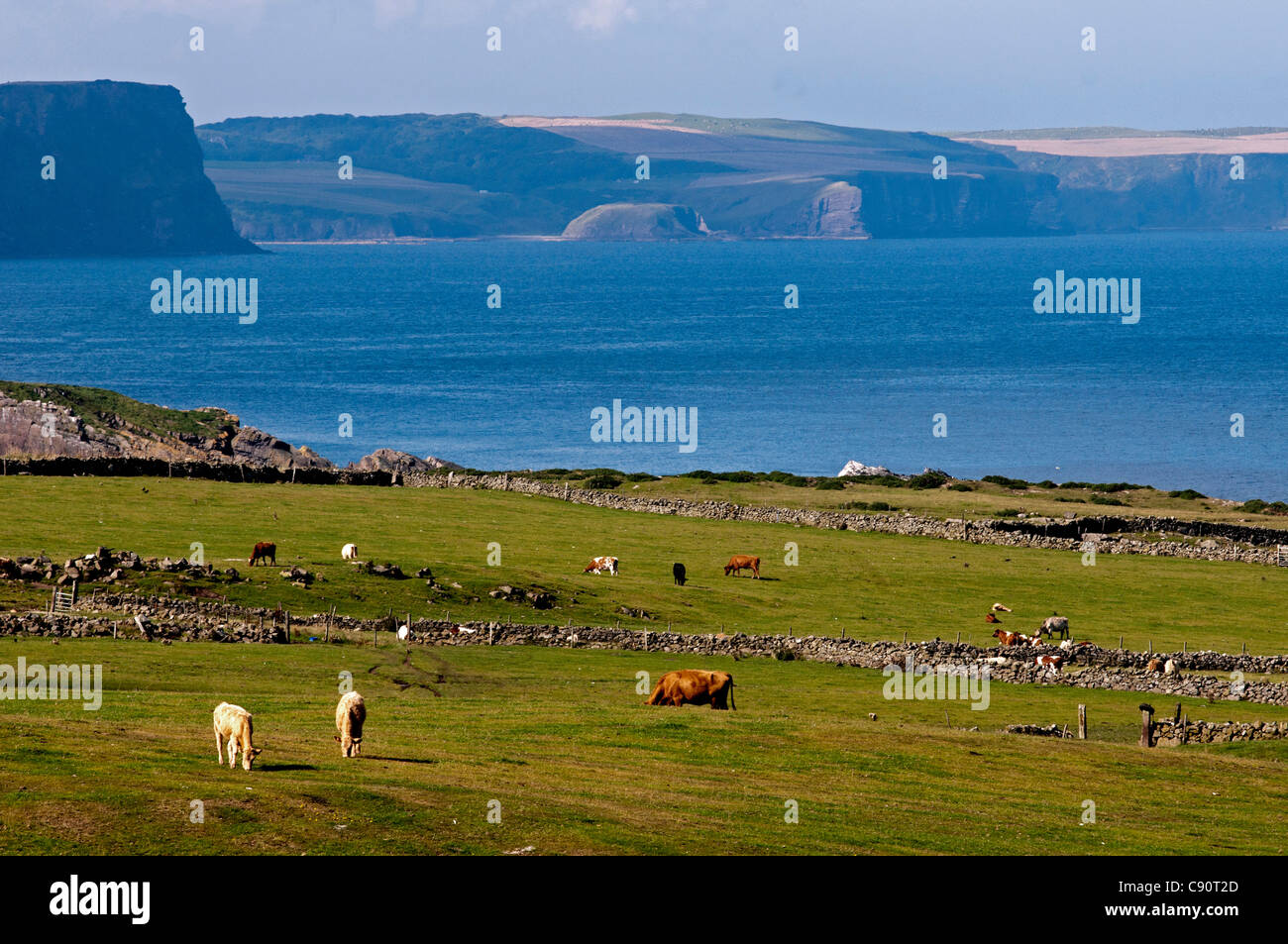 Küstenlandschaft in der Nähe von Rosehearty, Aberdeenshire, Schottland Stockfoto