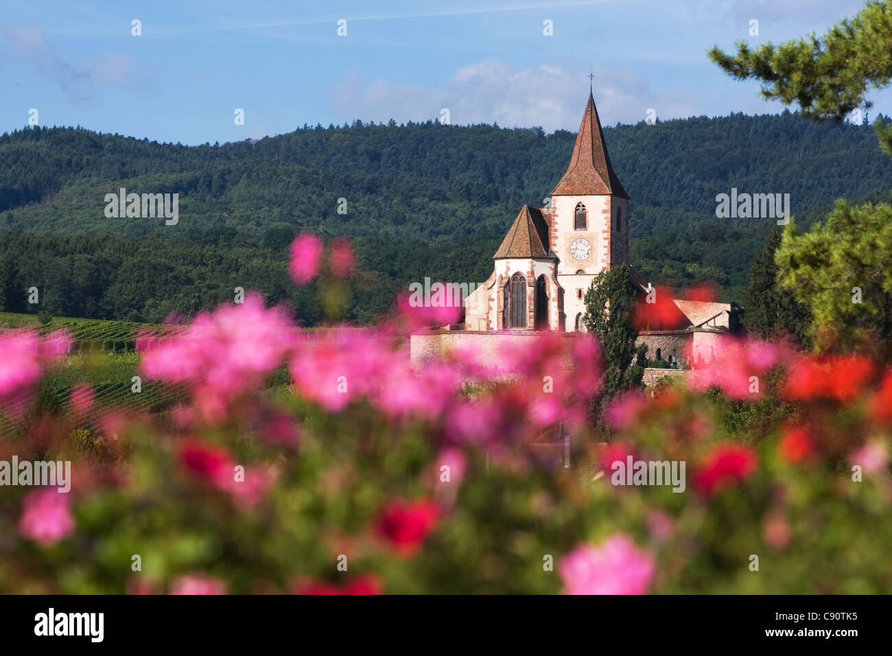 Hunawihr Dorf Kirche in Frankreich Stockfoto