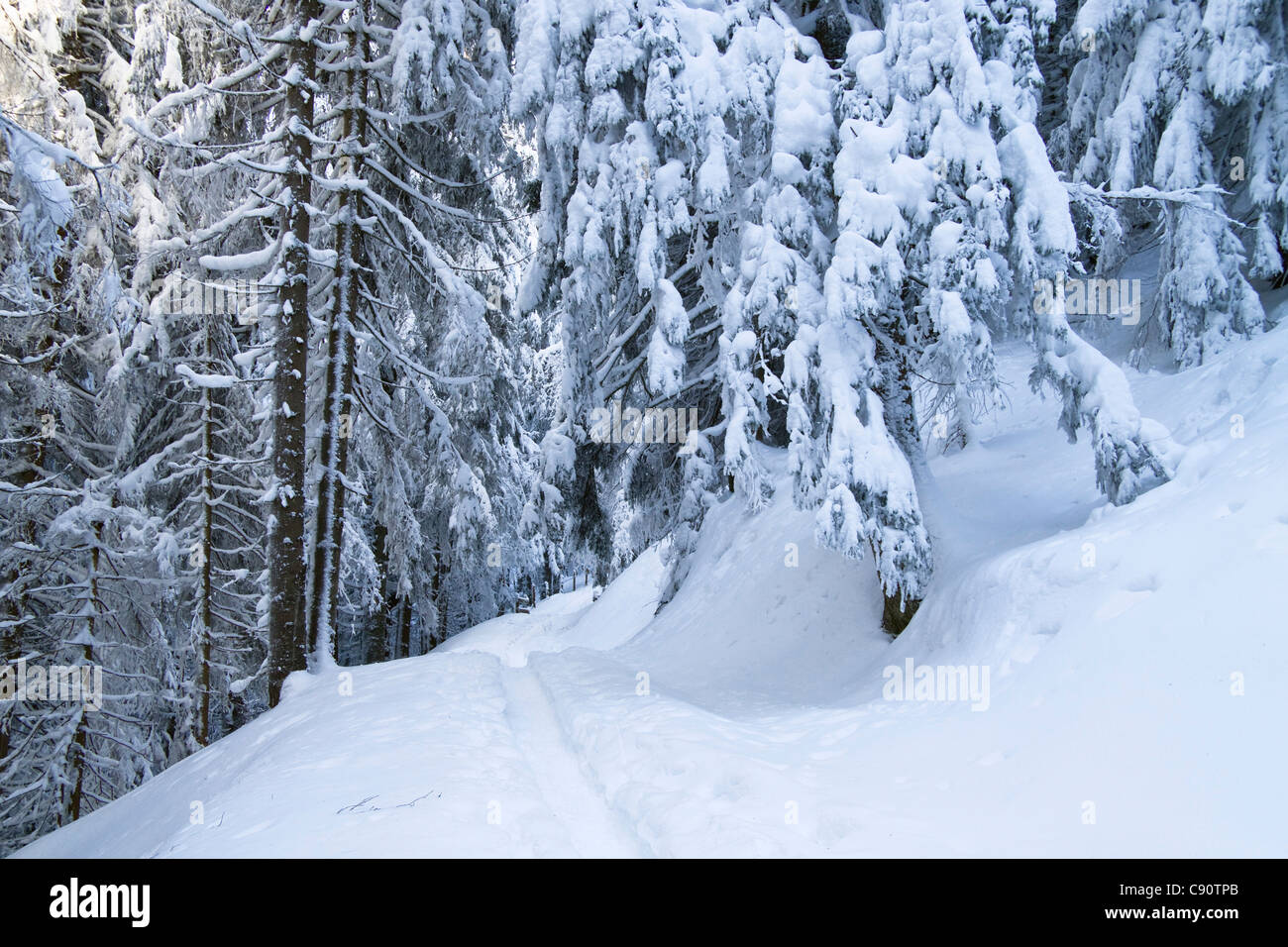 Winterlandschaft mit Snoeshoe Track auf Zwiesel Gebirge, Alpen in der Nähe von Bad Tölz, Oberbayern, Deutschland, Europa Stockfoto