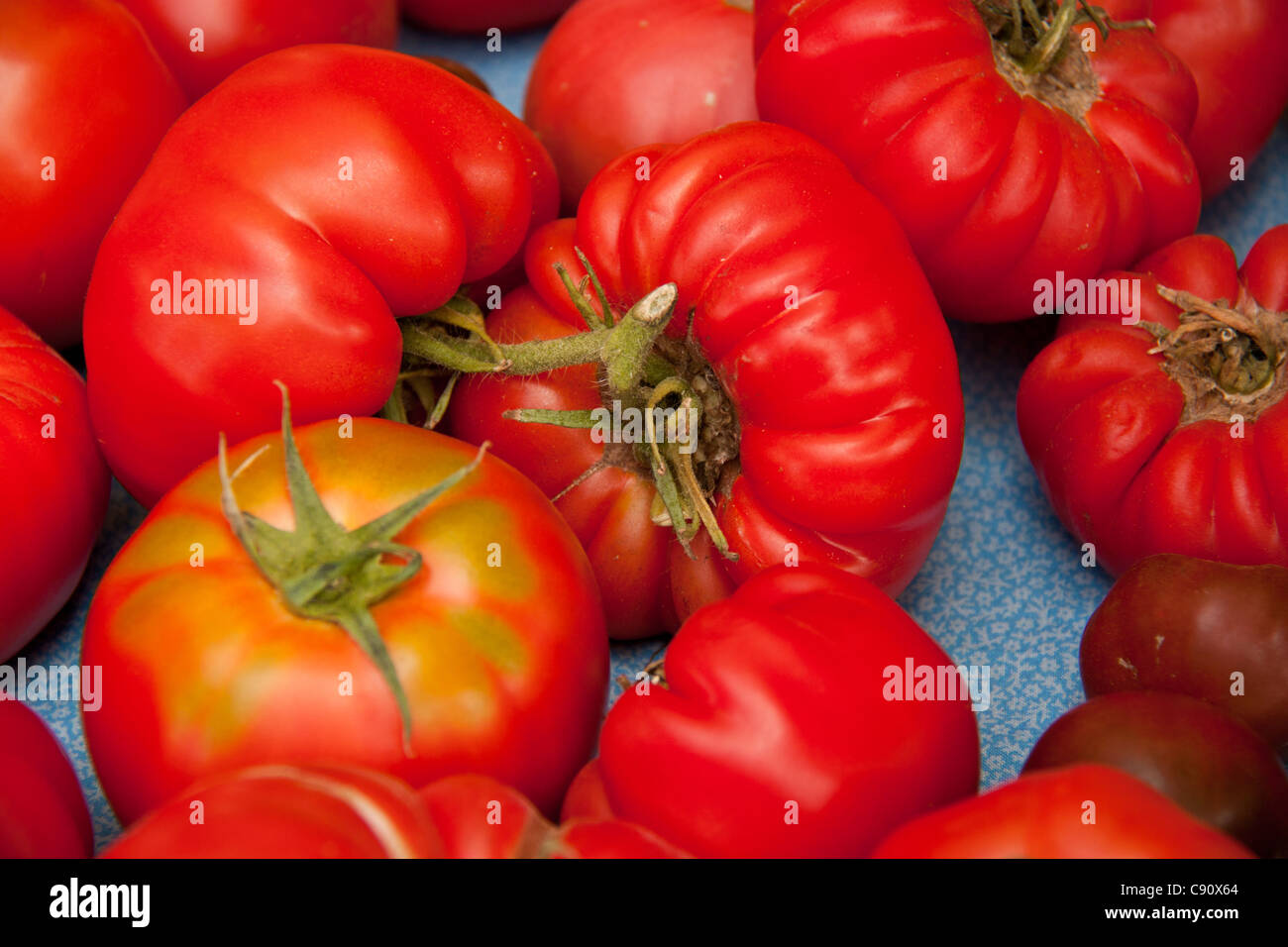 Bio, frische handverlesene Tomaten am Bauernmarkt Stockfoto