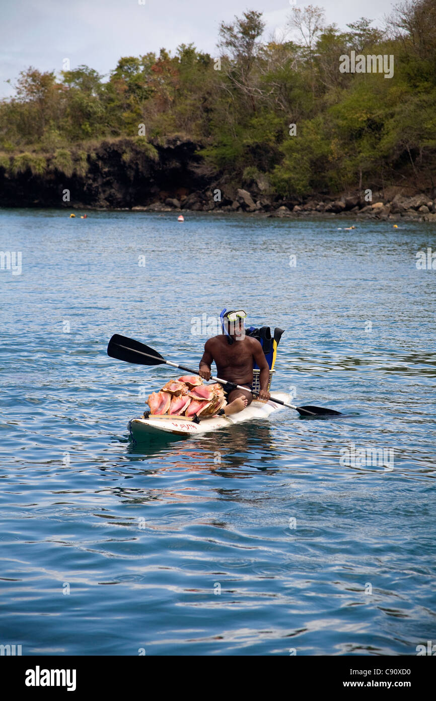 Taucher Muscheln aus der Küste von St Lucia zu ernten und verkaufen sie an den Tourismus. Stockfoto