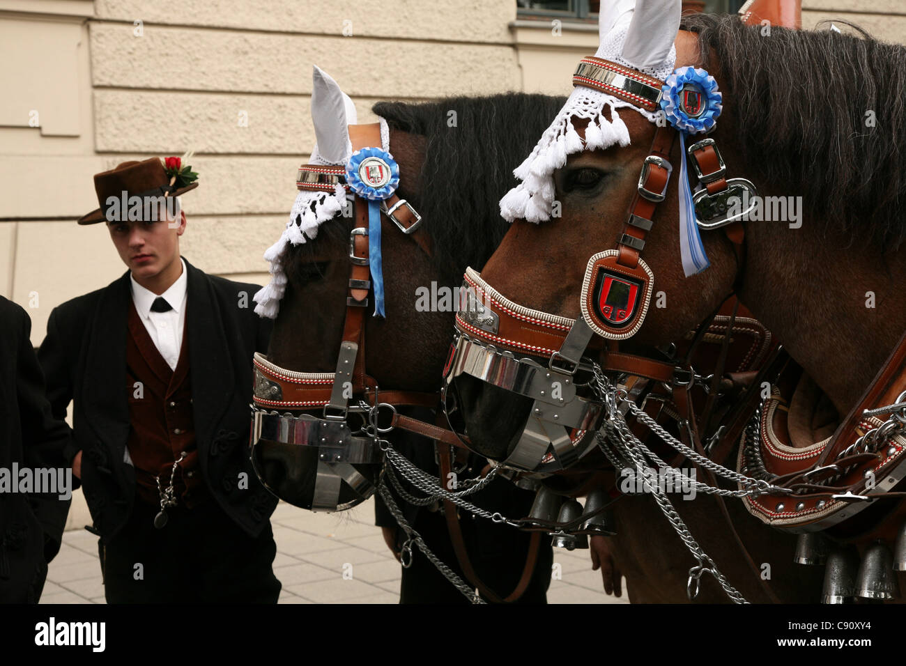 Pferde an der feierlichen Eröffnung des Oktoberfestes in München teilnehmen. Stockfoto