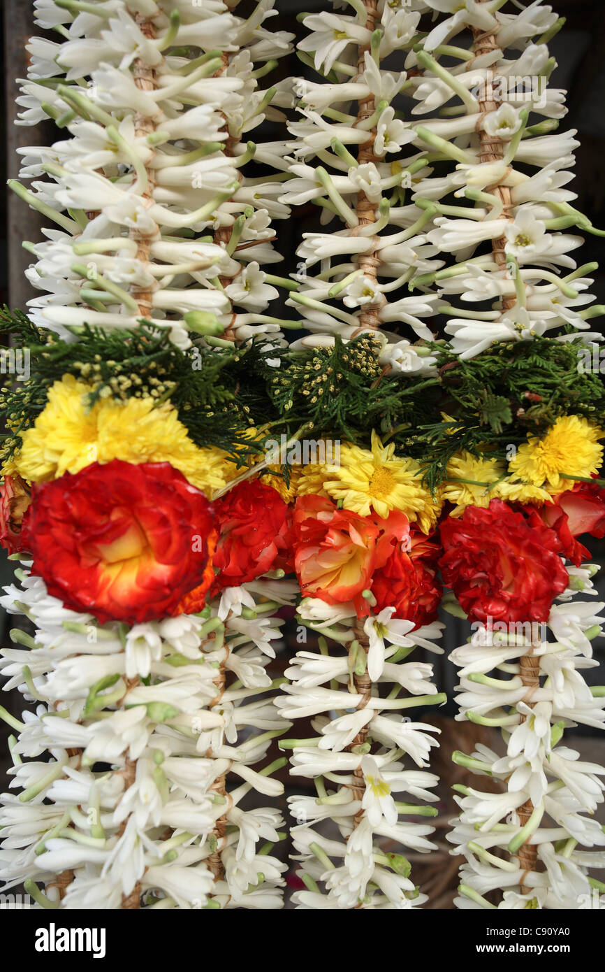 Blumenkränze in Indien sind traditionelle Girlanden für religiöse Zeremonien und besonderen Anlässen als Tempel-Angebote gemacht. Stockfoto