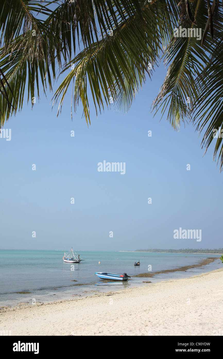 Lakshadweep ist eine Koralleninsel-Gruppe vor der Küste von Kerala. Es hat 12 Atolle 3 Riffe und 5 untergetaucht Banken mit insgesamt Stockfoto