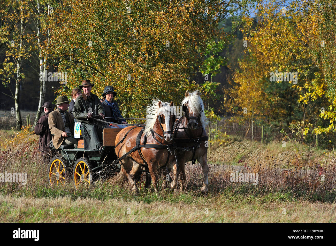 Jäger auf Pferdekutsche Wagonette an Drag Jagd Demo im Herbst in Europa Stockfoto