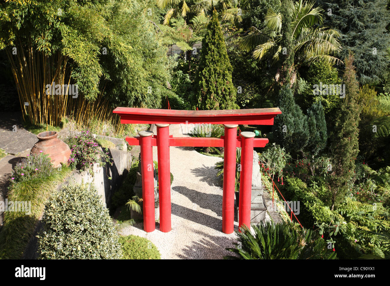 Der Jardim Botanico auf Madeira ist ein historischer Garten voller tropischer Pflanzen und Blumen und Statuen aus aller Welt. Stockfoto