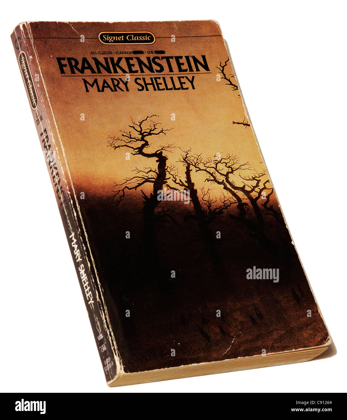 Frankenstein von Mary Shelley Stockfoto