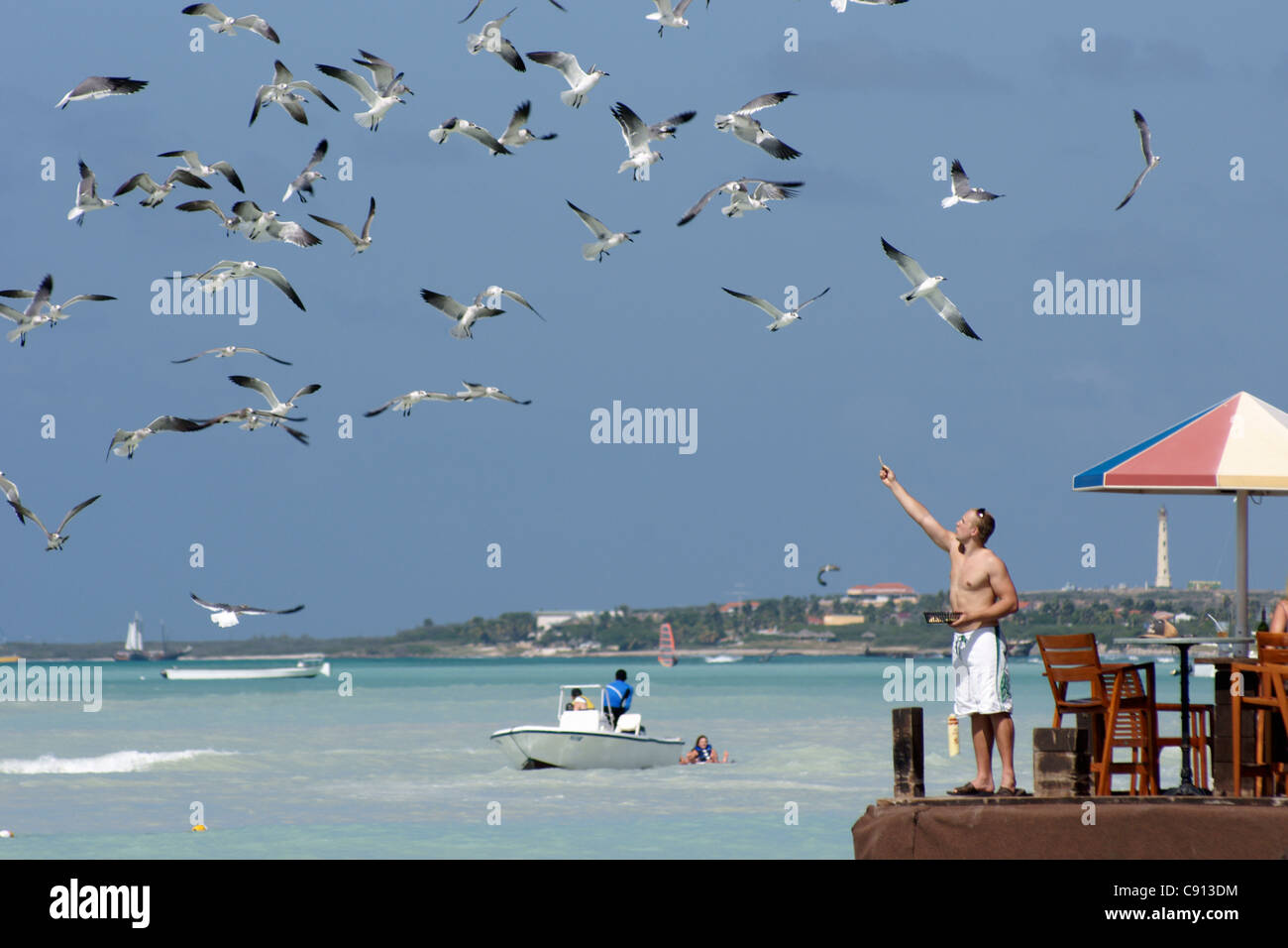 Mann, die Fütterung Seevögel Palm Beach Aruba Karibik Stockfoto