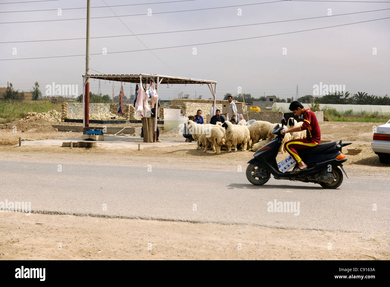 Irak, Baghdad, Straßenrand Metzger Stockfoto