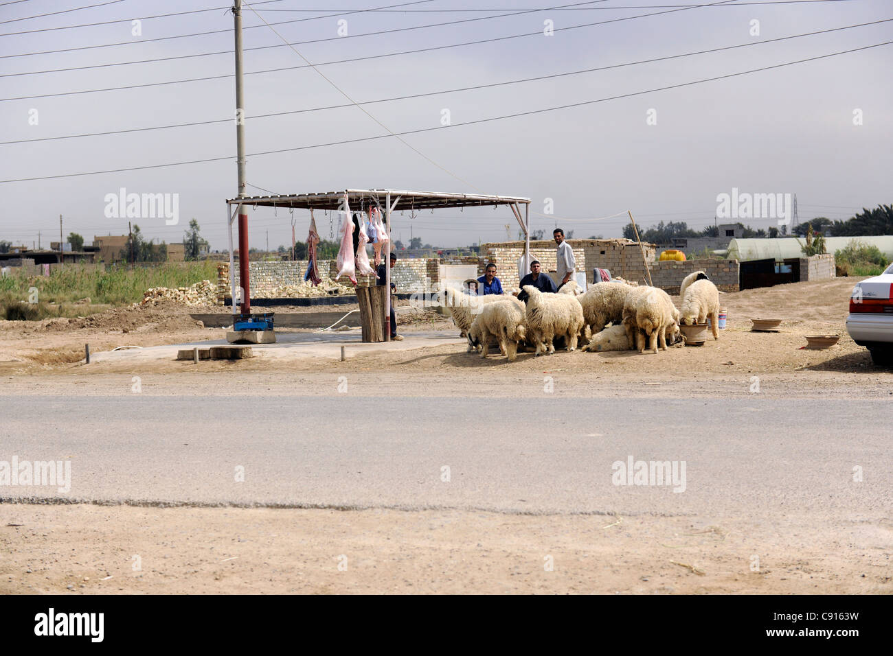 Irak, Baghdad, Straßenrand Metzger Stockfoto