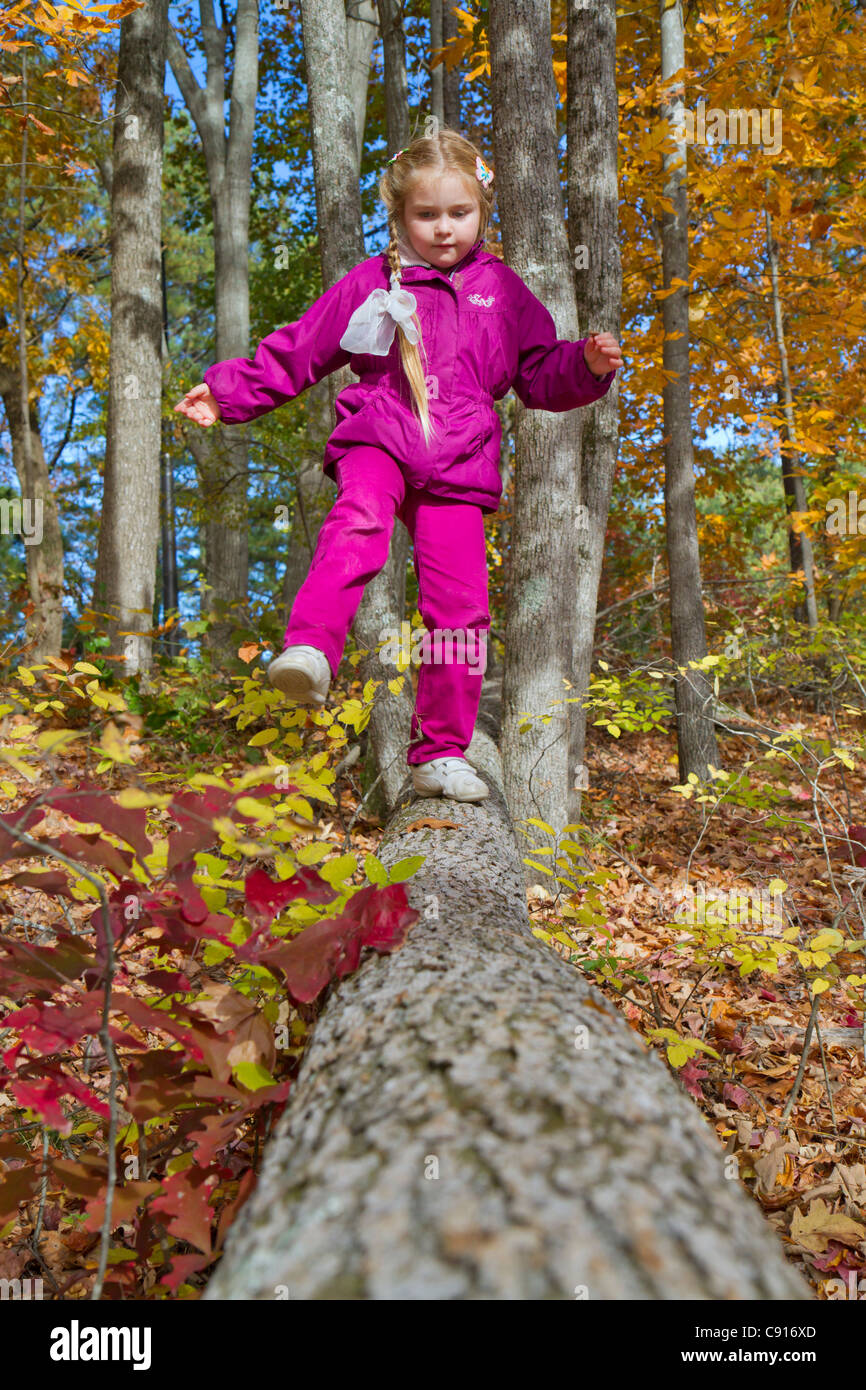 Ein 7-jähriges Mädchen, das im Herbstwald in Stone Mountain, Georgia, USA, auf dem gefallenen Holz spaziert. Stockfoto