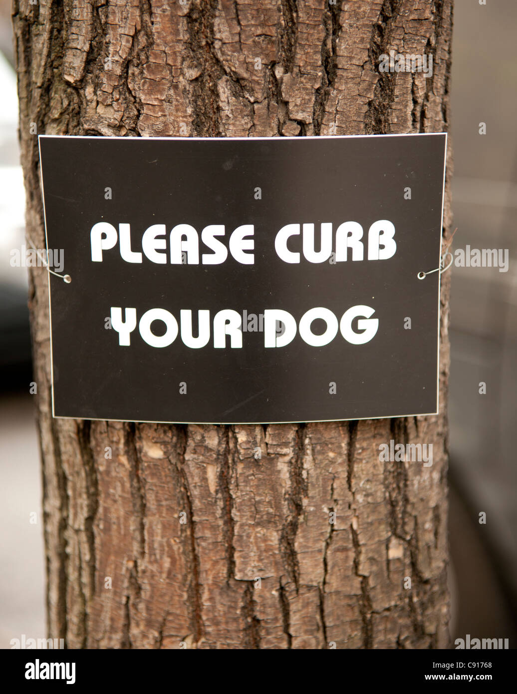Hunde, die Verschmutzung der Gehwege in New York ist eine große Problem Stadtmenschen oft setzen Sie Schilder bis zu Menschen davon abhalten lassen ihre Hunde Stockfoto