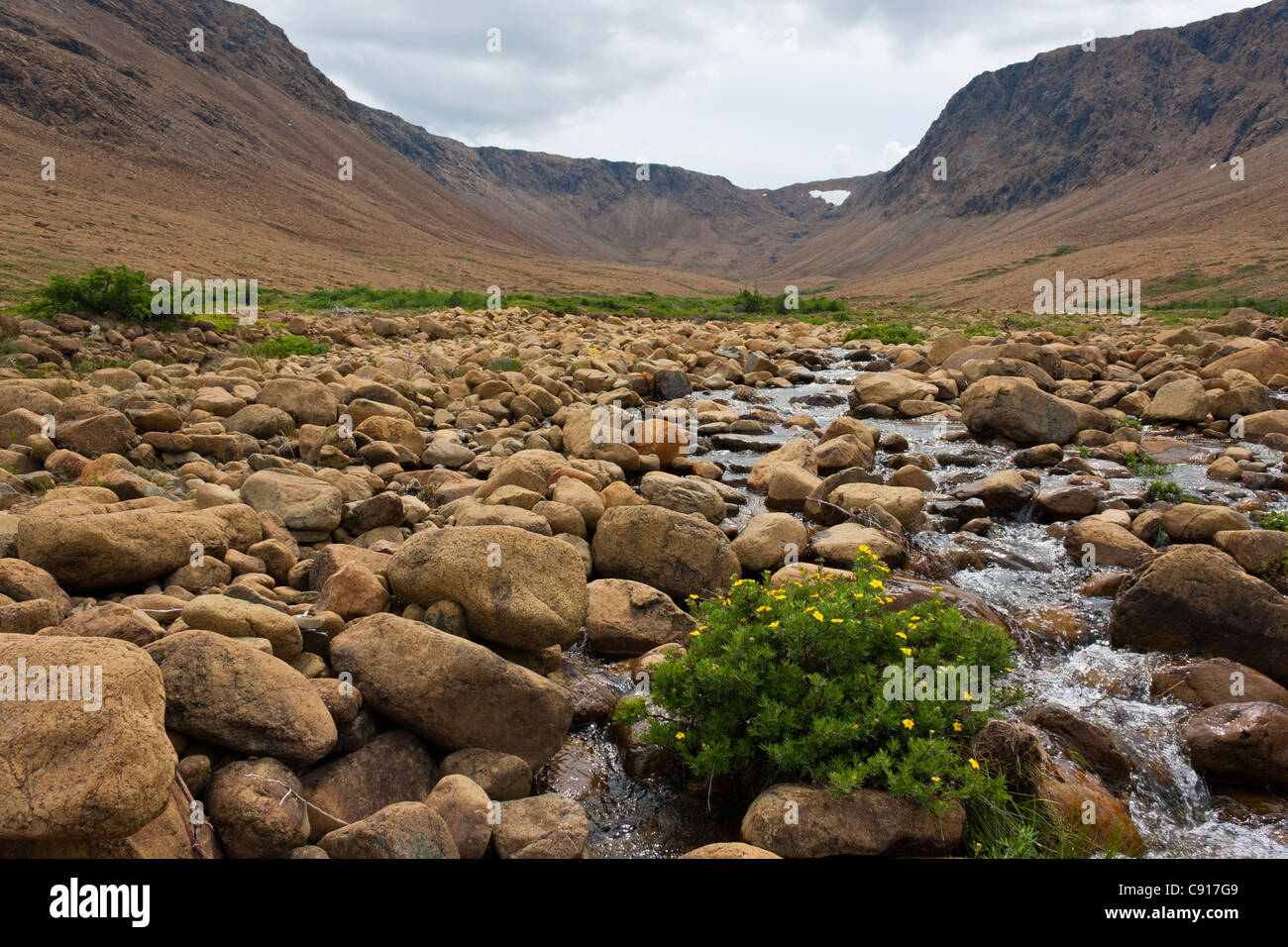 Gros Morne National Park, Neufundland Kanada Stockfoto