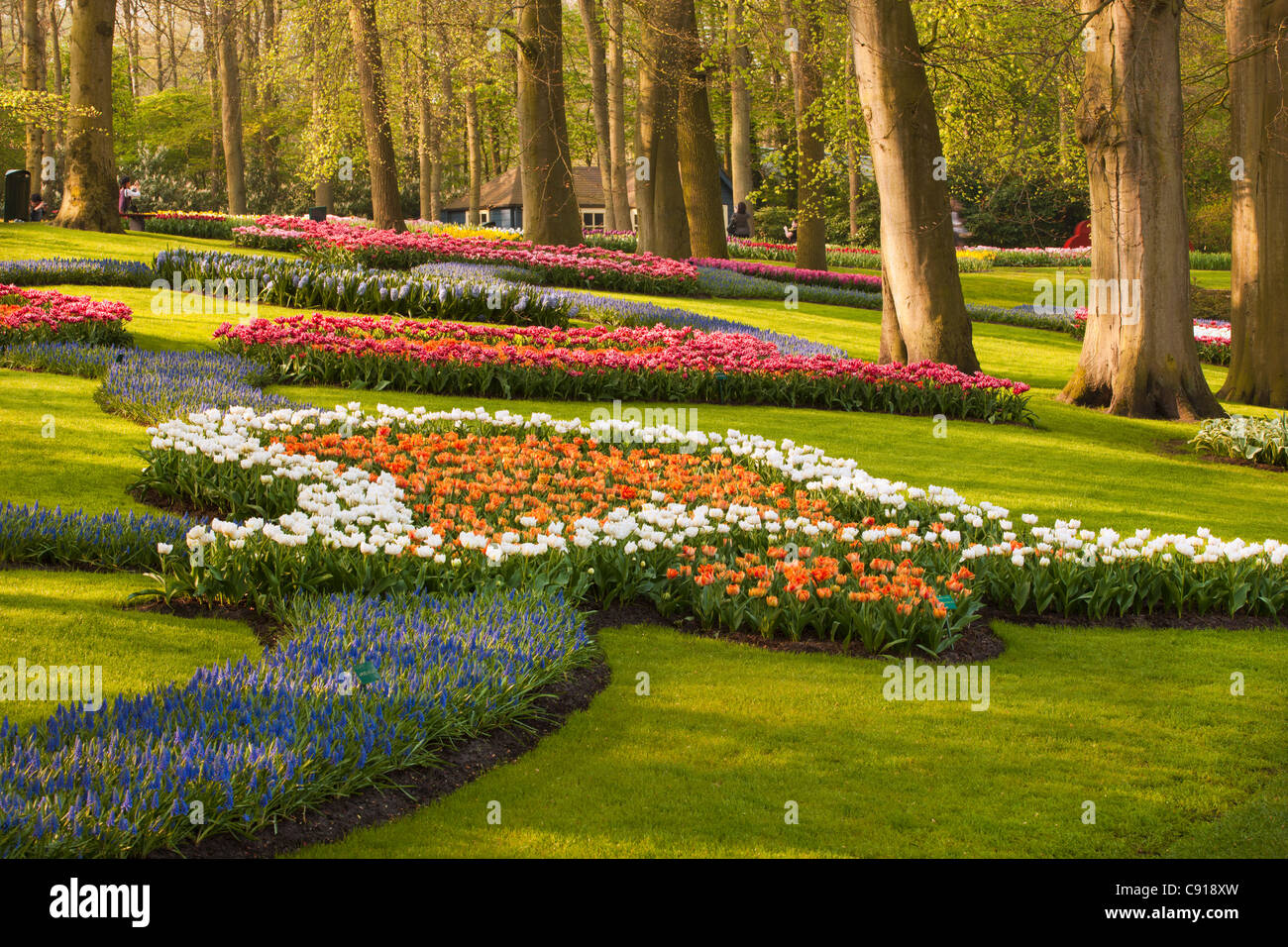 Den Niederlanden, Lisse, Blumengarten Keukenhof, vor allem Tulpen. Stockfoto