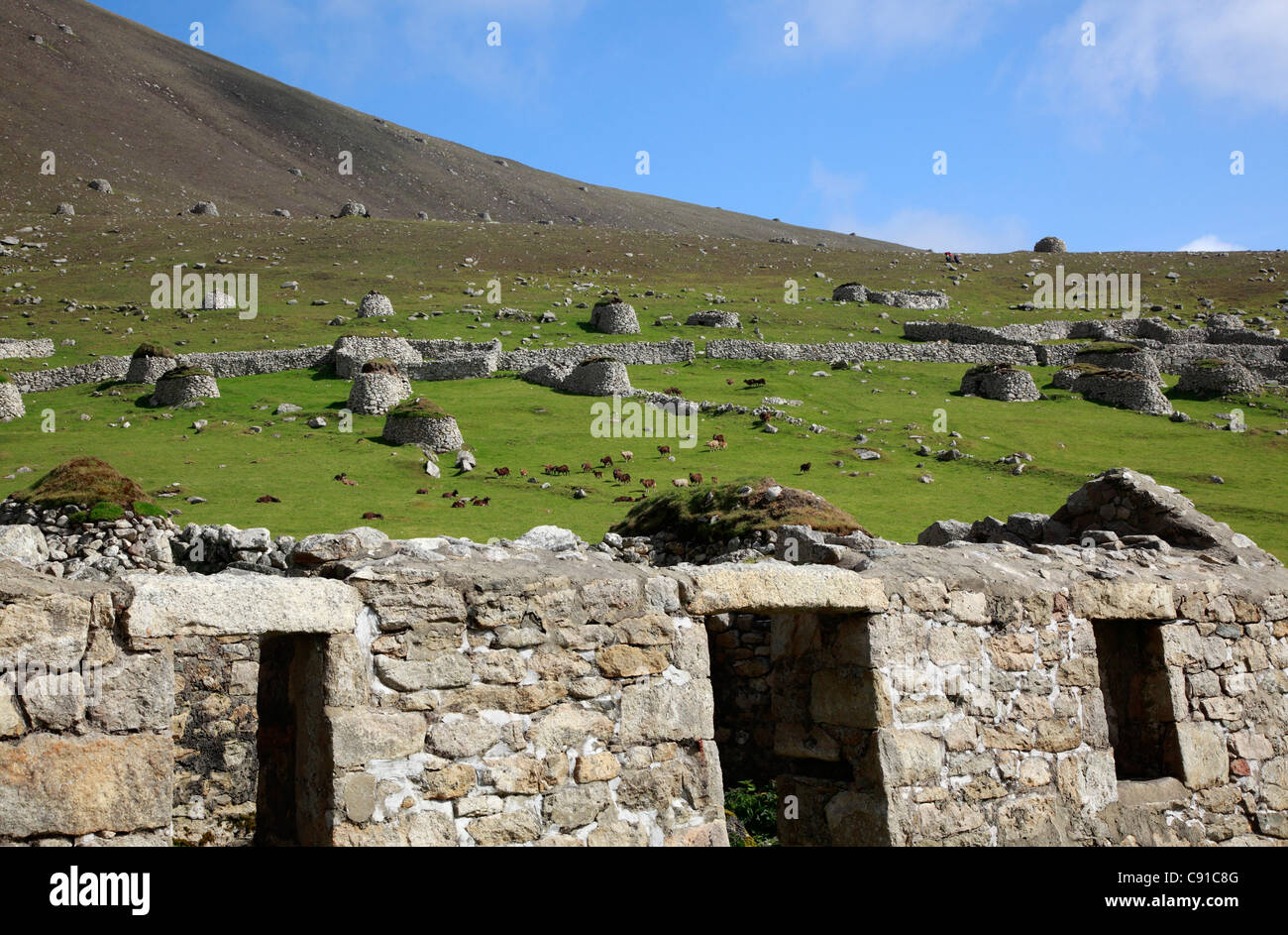 Reihe von verlassenen Stein Häuser auf der Insel St. Kilda in den äußeren Hebriden, Schottland. Stockfoto