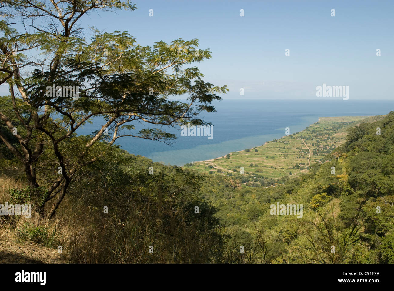 Das Nyika-Plateau befindet sich auf der westlichen Küste des Malawi-Sees und ist ein guter Aussichtspunkt, um die riesigen Lake Malawi zu sehen. Stockfoto