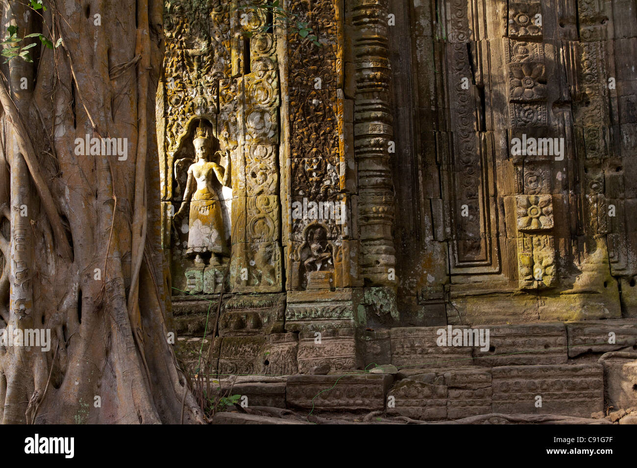 Außenwand mit Flachreliefs und Apsara auf die äußere Galerie Ta Prohm - gebaut von der Khmer König Jayavarman VII. als ein Stockfoto