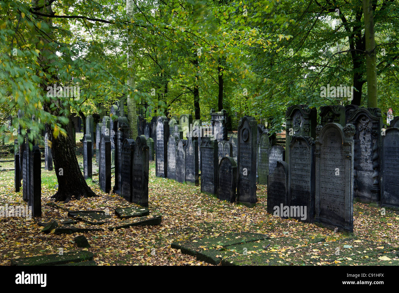 Grabsteine auf dem jüdischen Friedhof im Stadtteil Altona, Hansestadt Hamburg, Deutschland, Europa Stockfoto