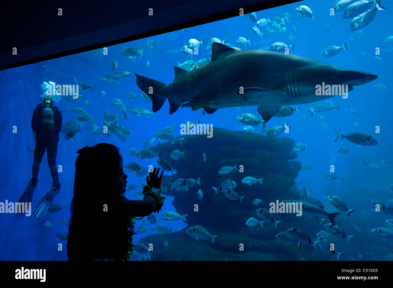 Mädchen auf der Suche bei Hai, Palma Aquarium Mallorca, Balearen, Spanien Stockfoto