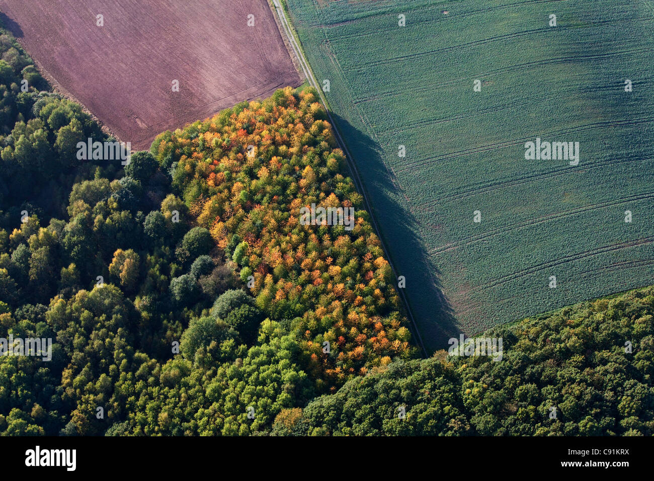 Luftaufnahme von vielfältigen Land Nutzung, landwirtschaftliche Wald und Feldern, Niedersachsen, Deutschland Stockfoto