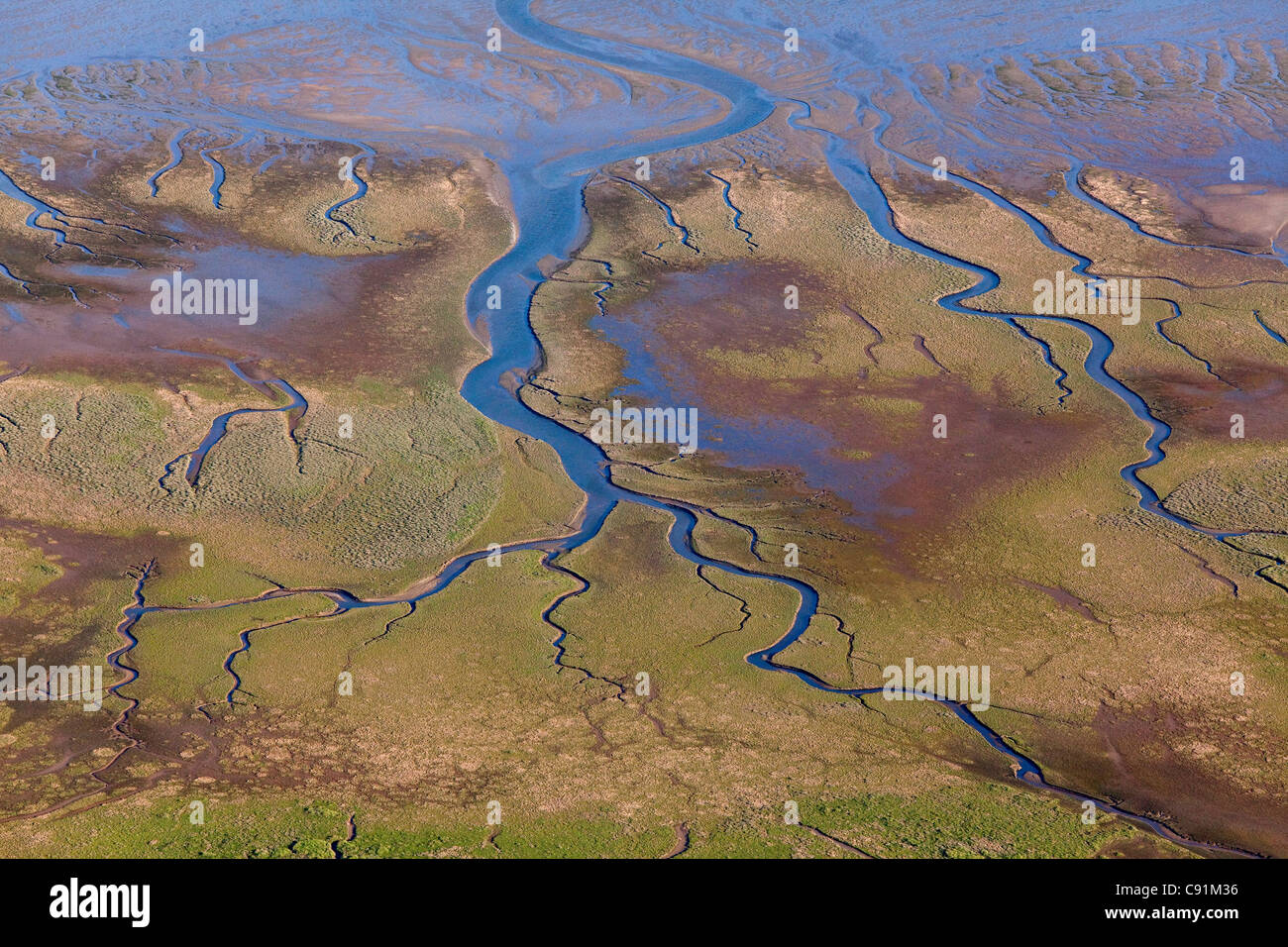 Luftaufnahmen von einer Gezeiten-Bucht im Wattenmeer, Wattenmeer, Niedersachsen, Deutschland Stockfoto