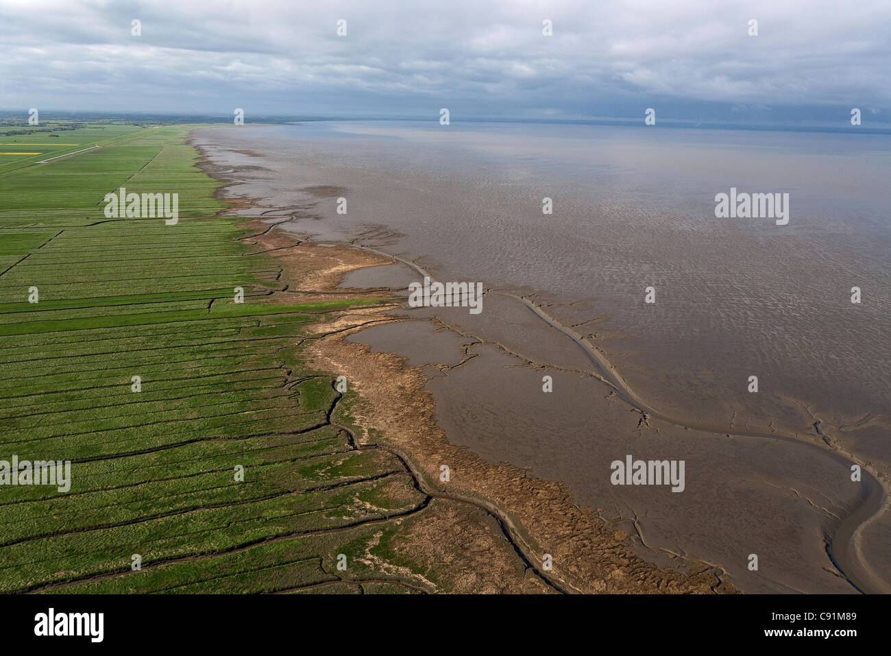 Luftbild von der Nordsee Küste, Waddensee, Wattenmeer, Niedersachsen, Deutschland Stockfoto