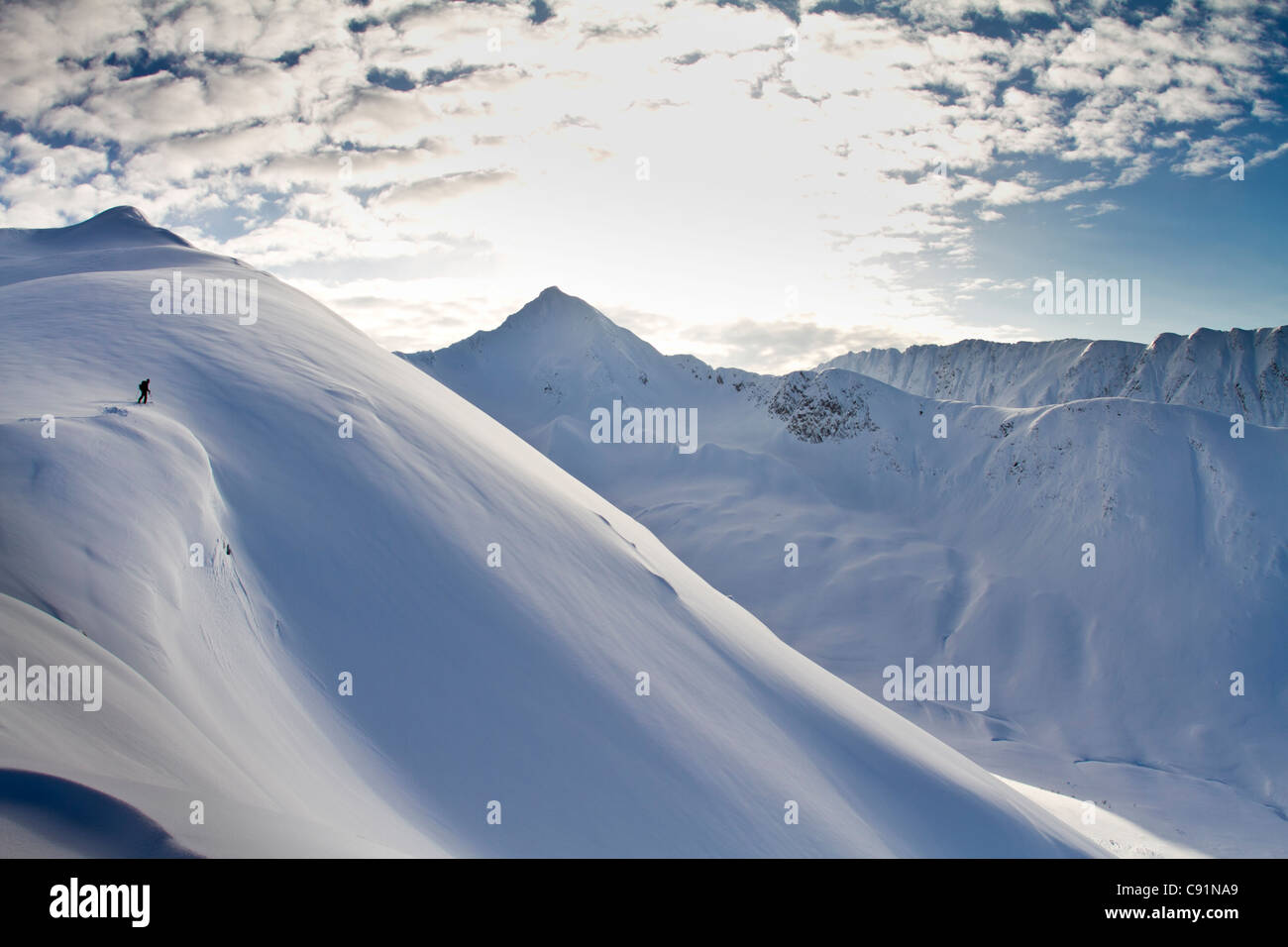 Mann-Skitouren im Pulverschnee bei Wolverine Schüssel, Turnagain Pass, Kenai Mountains, Yunan Alaska, Winter Stockfoto