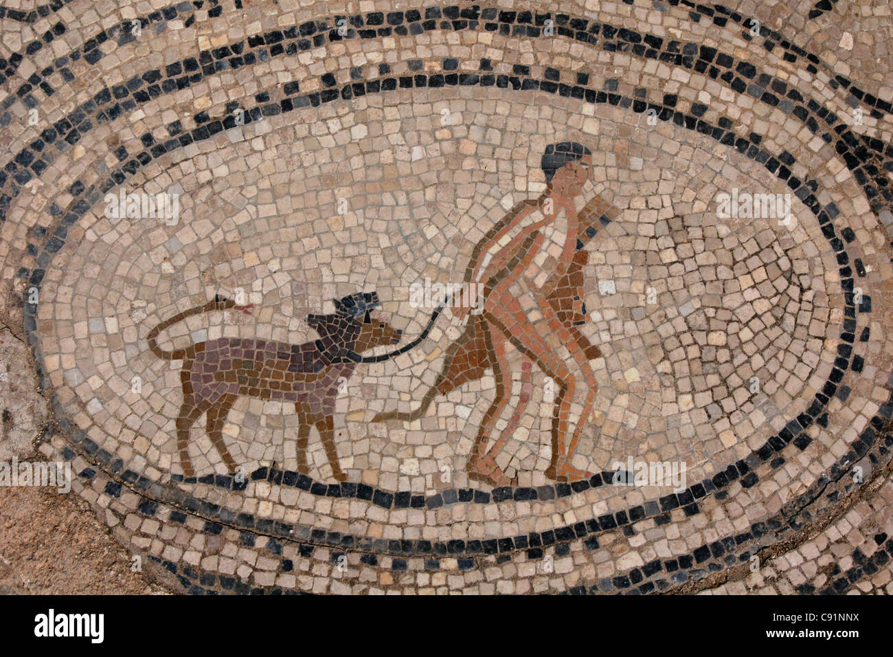 Herkules und Cerberus. Römisches Mosaik aus dem Hause die Arbeiten des Herkules in Volubilis, Marokko. Stockfoto