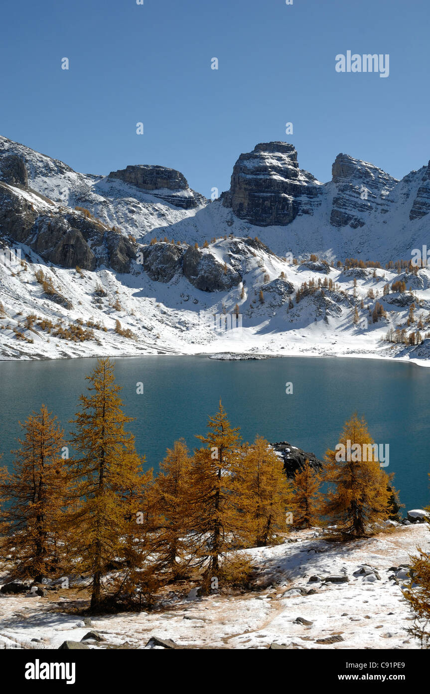 See Allos oder Lac d'Allos, Europäische Lärchen, Larix decidua, schneebedeckte Berge und Winterlandschaft, Mercantour Nationalpark, Französische Alpen Stockfoto