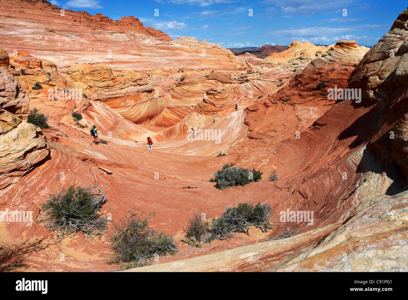 Wanderer und Sandstein-Formationen, The Wave, Coyote Buttes, Vermilion Cliffs National Monument Stockfoto