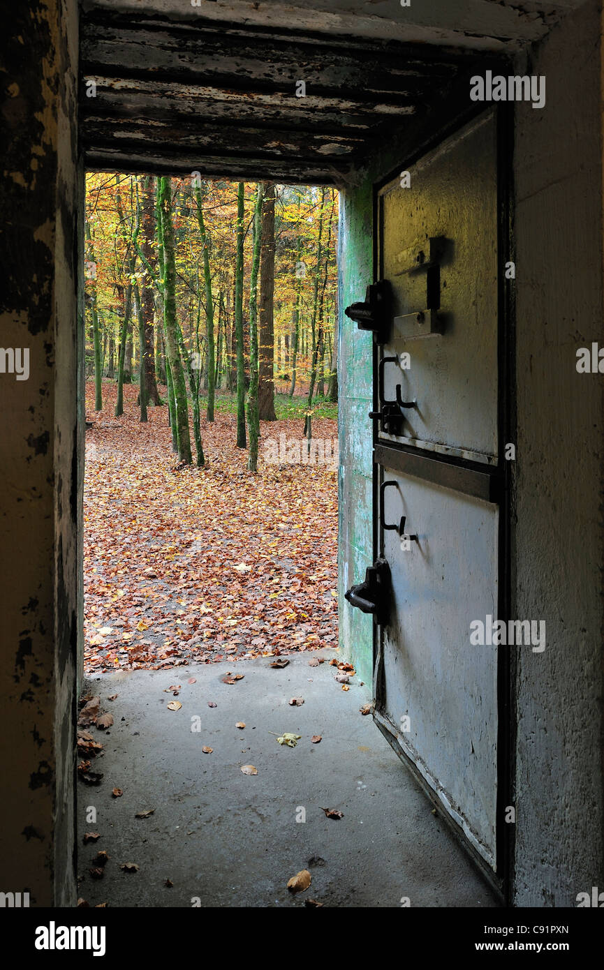 WW2 Wolfsschlucht Freilichtmuseum ich zeigt Adolf Hitlers Bunker im Wald bei Brûly-de-Pesche, Ardennen, Belgien Stockfoto